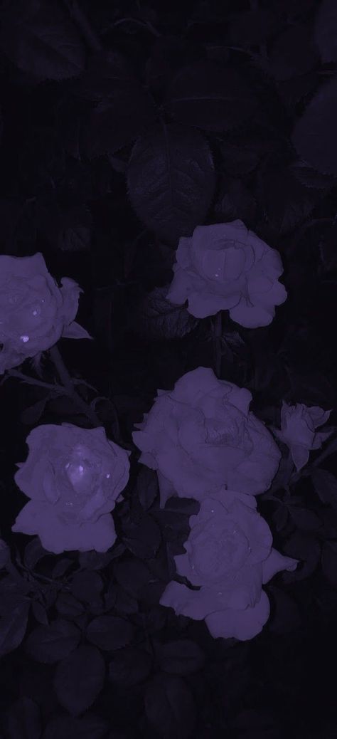 Dark Purple Lockscreen, Purple And Silver Wallpaper, Black And Purple Background, Goth Aesthetic Wallpaper, Deep Wallpaper, Chill Wallpaper, Light Purple Wallpaper, Dark Purple Wallpaper, Phone Decor