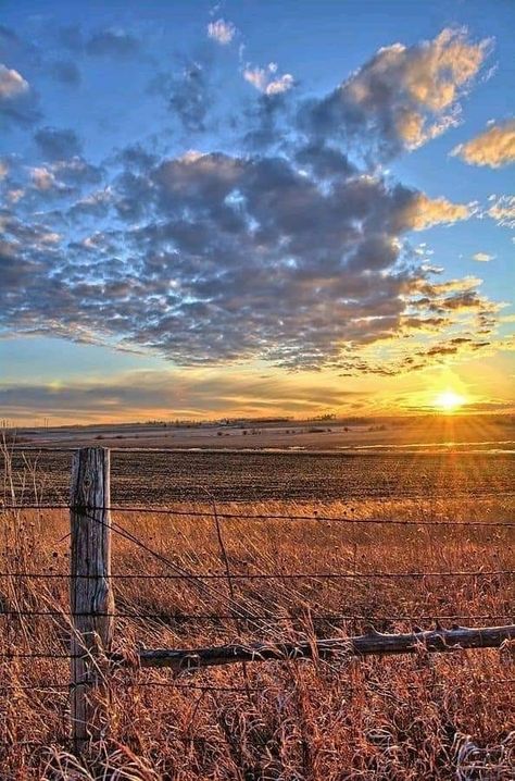 Bonfire Photography, Southern Aesthetic, Country Sunset, Country Backgrounds, Country Photography, Western Wallpaper Iphone, Farm Photography, Franklin County, Pretty Landscapes