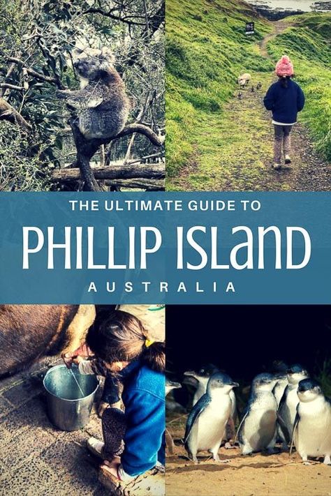 Melbourne Travel, Red Desert, Australia Tourism, Australia Itinerary, Phillip Island, Australia Travel Guide, Oceania Travel, Visit Australia, White Beach