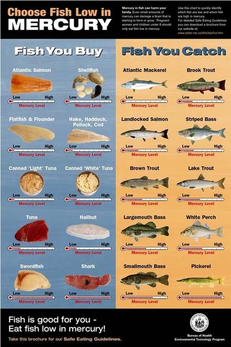 Low Mercury Fish, Pescatarian Lifestyle, Pescatarian Diet, Seafood Shop, Sustainable Seafood, Buy Fish, Types Of Fish, Food Info, Survival Food