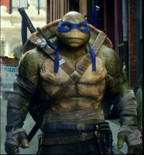 Leo Headcanons, Ninja Turtles 2014, Tmnt Leonardo, Leonardo Ninja Turtle, Tmnt Leo, Tmnt Characters, Leonardo Tmnt, Teenage Mutant Ninja Turtles Art, Ninja Turtles Artwork