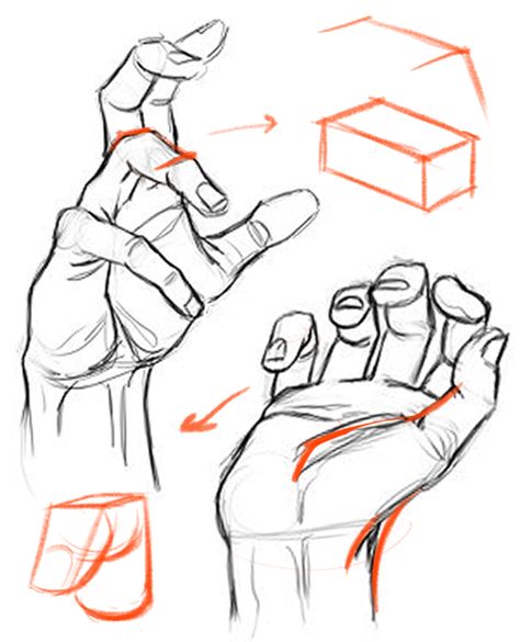 Constructing the hand from basic forms and following the primary - secondary - tertiary hierarchy resolves many other issues. It helps to draw the hand accurately from imagination, attach the fingers correctly to the palm, keep things in perspective, and even helps to shade. I’ll also show you how a focus on structure doesn’t mean you have to sacrifice gesture. - proko.com/227 Draw Hands, Human Anatomy Drawing, Hand Drawing Reference, Human Drawing, Anatomy Sketches, Body Reference Drawing, Anatomy For Artists, Drawing Studies, Gesture Drawing