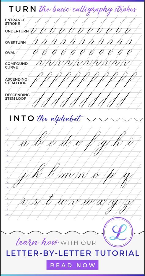 Copperplate Alphabet, Calligraphy For Beginners Worksheets, Calligraphy Alphabet Tutorial, Basic Calligraphy, Calligraphy Writing Styles, Cursive Writing Practice Sheets, Calligraphy Letters Alphabet, Calligraphy Worksheet, English Calligraphy