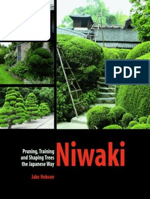 Niwaki Pruning, Japanese Tree, Tree Pruning, Tree Trimming, Garden Trees, Shade Garden, Japanese Garden, Read Online For Free, Free Download