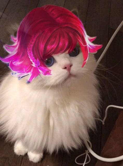 Beatrix Mlbb, Cat Edit, Pin It, Pink Hair, Hair, Pink