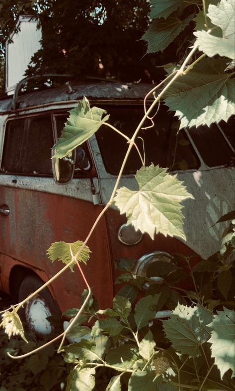 #volkswagen #volkswagenbus #volkswagenvan #aesthetic Old Bus Aesthetic, Old Van Aesthetic, Arthur Kingsmen, Van Aesthetic, Bus Aesthetic, Old Van, Vans Aesthetic, Volkswagen Van, Dream Future