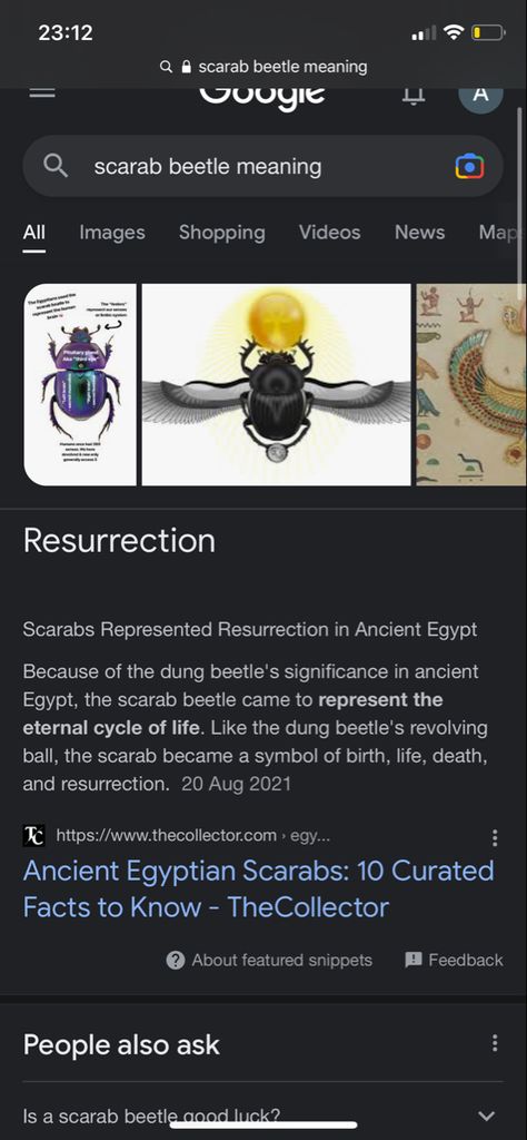 Scarab Beetle Spiritual Meaning, Scarab Meaning Ancient Egypt, Scarab Tattoo Meaning, Beetle Tattoo Meaning, Scarab Beetle Meaning, Scarab Tattoo, Beetle Tattoo, Elemental Magic, Scarab Beetle