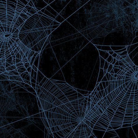 Black Spiders, Purple Spider, Spiders Web, Black Spider, Black Style, Spiders, Spider Web, Black Art, Style Design