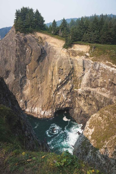 11 Stunning Things To Do on the North Oregon Coast North Oregon Coast, Oregon Coast Hikes, Oregon Coastline, Ecola State Park, Adventurous Things To Do, Pacific City, Sitka Spruce, Cannon Beach, Seaside Towns