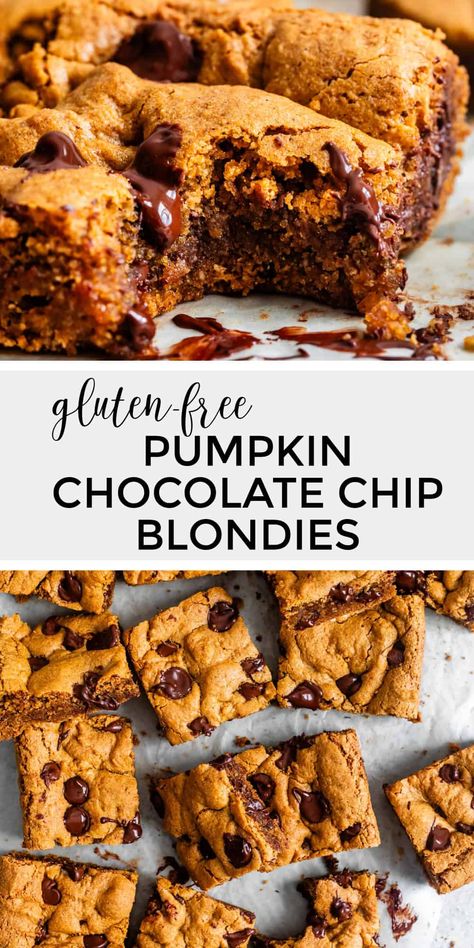 These gluten-free pumpkin chocolate chip blondies are full of pumpkin flavor and cozy fall spices, with the chewiest, gooiest center. Gf Pumpkin Blondies, Gluten Free Pumpkin Blondies Recipe, Gluten Free Pumpkin Chocolate Chip Bars, Gluten Free Dairy Free Pumpkin Dessert, Healthy Pumpkin Blondies, Gluten And Dairy Free Fall Desserts, Gluten Free Pumpkin Brownies, Gf Fall Desserts, Gluten Free Fall Cookies