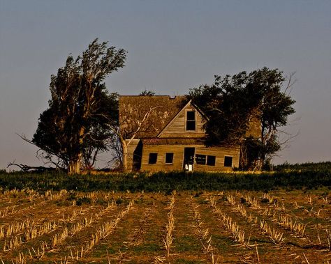 Abandoned Home Aesthetic, Apocalypse Farm, Dreamlike Illustration, Abandoned Field, Corn Aesthetic, Kansas Farmhouse, Old Farmhouse Aesthetic, Western Horror, Abandoned Aesthetic