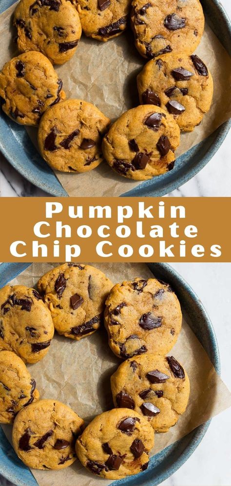 Pumpkin Choc Chip Cookies, Chocolate Chip Cookies Small Batch, Cookie Recipes Without Eggs, Cookies Small Batch, Pumpkin Chocolate Chip Cookies Recipe, Pumpkin Chocolate Chip Cookies Easy, Cookies Without Eggs, Pumpkin Spice Cookie Recipe, Pumpkin Cookies Healthy