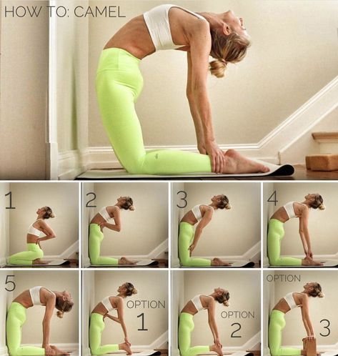 Camel Pose, Yoga Beginners, Beginner Yoga, Partner Yoga, Yoga Posen, Yoga Iyengar, Yoga Moves, Yoga Exercises, Easy Yoga Workouts