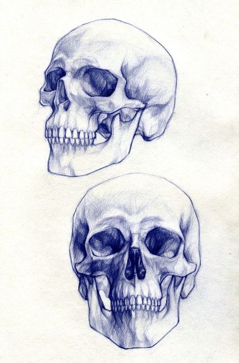 Pin by Juan Fernando Martinez on ZurAh zurag | Anatomy art, Skulls drawing, Skull drawing Skull Anatomy, Skull Reference, Skull Sketch, Skeleton Drawings, Drawing Hands, Skull Art Drawing, Tattoo Zeichnungen, Men Tattoos, Skulls Drawing