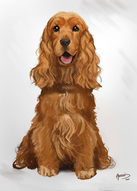 Drawings Of Cocker Spaniels, Cocker Spaniel Dog Drawing, Cocker Spaniel Illustration Drawings, Cocker Spaniel Art Illustration, Cocker Spaniel Drawing Easy, Drawing Cocker Spaniel, Cocker Spaniel Cartoon, Cocker Spaniel Drawing, Cocker Spaniel Painting