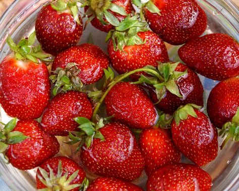 How to clean strawberries with vinegar, baking soda, or salt | Real Homes Clean Strawberries, How To Clean Strawberries, How To Wash Strawberries, Wash Strawberries, Cleaning Fruit, Store Strawberries, Washing Fruit, Baking Soda Cleaner, Strawberry Vinegar