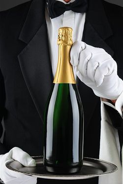 Party Serving Trays, Billionaire Club, Restaurant Service, Story Board, Rich Girl, Champagne Bottle, Destiny, Stock Photography, A Man