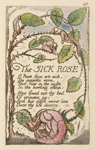 The Sick Rose, William Blake Art, Songs Of Innocence, Rose Williams, Desain Editorial, William Blake, Old Book, Pretty Words, Beautiful Words