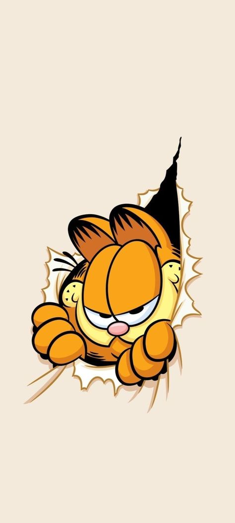 Garfield Wallpaper, Garfield Cartoon, Hole In The Wall, Swag Cartoon, Cartoon Character Pictures, Cartoon Wallpaper Iphone, Cool Wallpapers Cartoon, Pinturas Disney, Dessin Adorable