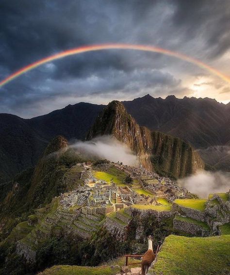 Machu Picchu, Peru. Machu Picchu Photography, World Most Beautiful Place, Machu Picchu Peru, Cusco Peru, Peru Travel, Destination Voyage, Machu Picchu, Travel Lover, Most Beautiful Places