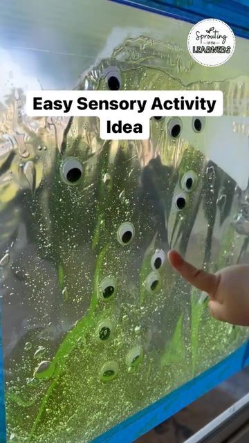 Best Kids Activities on Instagram: "#repost @sprouting.little.learners Here’s a super quick and easy mess free sensory activity! This activity helps promote hand eye coordination and strengthens those little fingers and hands as they push the googley eyes around. Materials needed: • Ziplock bag • Aloe Vera • Googley eyes • Painter’s tape #sensoryplay #sensoryactivity #sensoryactivities #babyplay #babyplayideas #daycareteacher #daycareowner #daycareprovider #stayathomemom #babyactivities #to Googley Eyes, Keep Kids Busy, Daycare Providers, Daycare Teacher, Sensory Activity, Ziplock Bag, Kids Learning Activities, Ziplock Bags, Sensory Bins