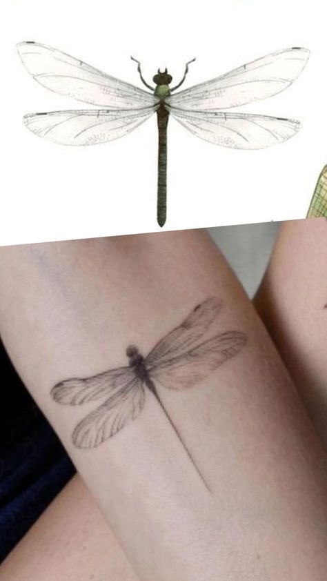 Black And White Dragonfly Tattoo, Donkey Pictures, Realistic Dragon, Dragonfly Tattoo Design, Grunge Tattoo, Bff Tattoos, Dragonfly Tattoo, Dream Tattoos, Back Tattoos