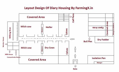 Dairy Housing Useful information and Design– FarmingX Cattle Shed Design, Dairy Cow Shed Design, Cattle Farm Design, Farm Plans Layout, Cow Shed Design Plan, Cow Farm Design, Dairy Farm Design, Milk Parlor, Cattle Barn Designs