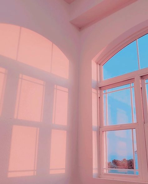 #wallpaper #pink #shadow #shadowart #window #photography #pinkaestetic #background #sky #art Taylor Swift Eras Tour Lover, Shadow Window, Pink Wallpaper Quotes, Eras Tour Lover, Pink Bg, Light Pink Walls, Lover Aesthetic, Background Sky, Window Photography