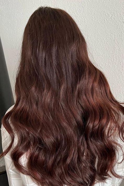 Woman with a cherry cola hair color blended with mahogany. Dark Brown Ginger, Brunette Auburn Hair, Mahogany Hair Color, Mahogany Brown Hair, Golden Blonde Hair Color, Brown Hair Ideas, Hair Color Mahogany, Mahogany Hair, Fall Winter Hair Color