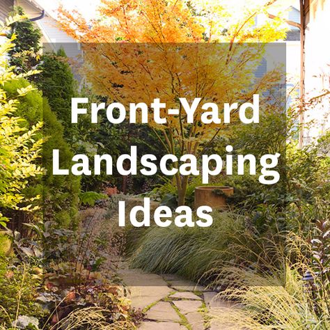 Easy Landscaping, Lawn And Landscape, Front Landscaping, Diy Landscaping, Creative Gardening, Yard Design, Landscape Projects, Yard Landscaping, Front Yard Landscaping