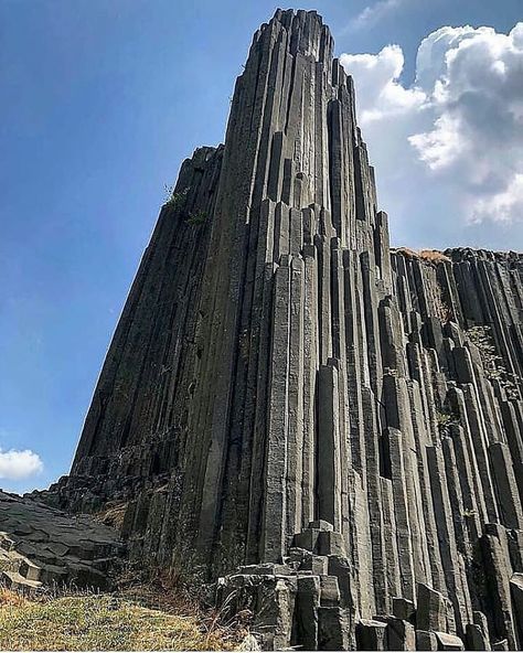 The columnar basalts in the Czech Republic. #geology #science #geologyscienceo #geologist #geologyrocks #minerals #geological #nature #structuralgeology #earth #basalt #czechrepublic Basalt Rock, Basalt Columns, Geology Rocks, Ancient Forest, Ancient Tree, The Czech Republic, Fantasy Places, Rock Formations, Vacation Places