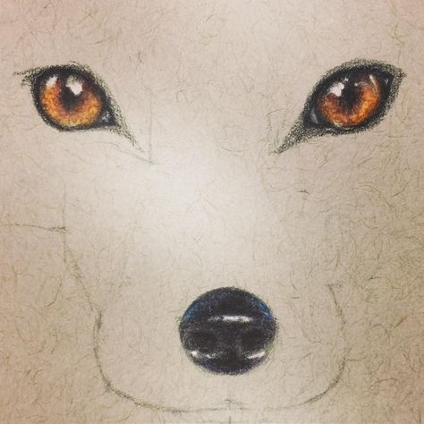 Eyes & nose 😍 #watercolor #watercolors #watercolorart #watercolorpencils #albrechtdurer #art #artist #drawing #eyes #fox #wildlife #texas… Nose Watercolor, Diy Tiny House, Fox Eyes, Drawing Eyes, House Crafts, Albrecht Durer, Artist Drawing, Watercolor Pencils, Drawing Reference