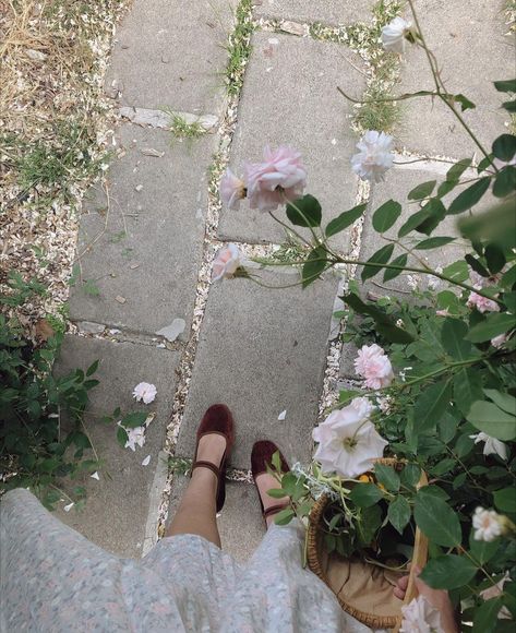 Spring Inspo, Photo Composition, Lily Evans, Cursive Font, Spring Aesthetic, 가을 패션, Pretty Pictures, Spring Time, Dream Life