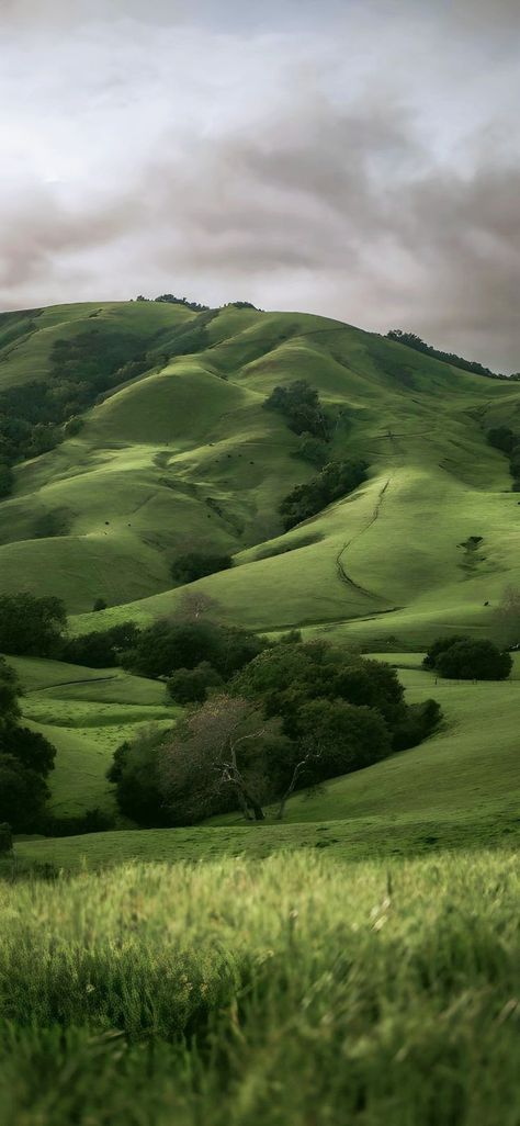 Earth Green Wallpaper, Valleys Aesthetic, Scenic Wallpaper Iphone, Green Aesthetic Wallpaper Nature, Gorpcore Wallpaper, Iphone Wallpaper Scenery, Safari Background, Hills Wallpaper, Hill Wallpaper