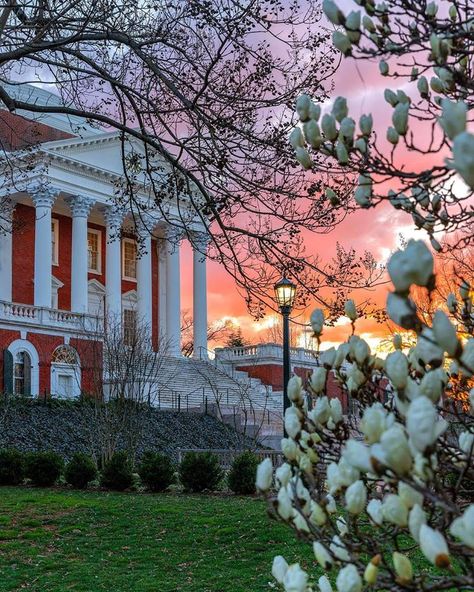 Uva Aesthetic, Uva University Of Virginia Dorms, Uva University Of Virginia Aesthetic, Southern Virginia University, Uva University Of Virginia, Virginia Union University, Virginia Fall, College Vision Board, Wake Forest University