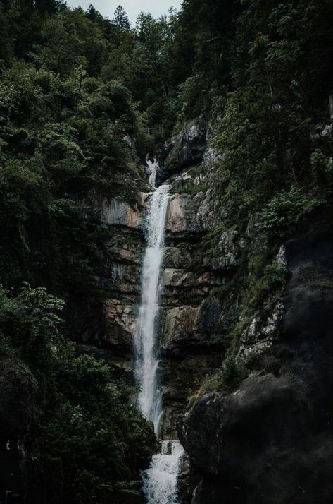 Cliff Waterfall, Forest Cliff, Wilderness Aesthetic, Waterfall Background, Oregon Nature, Dark Naturalism, Waterfall Wallpaper, Dark Forest Aesthetic, Hallstatt Austria