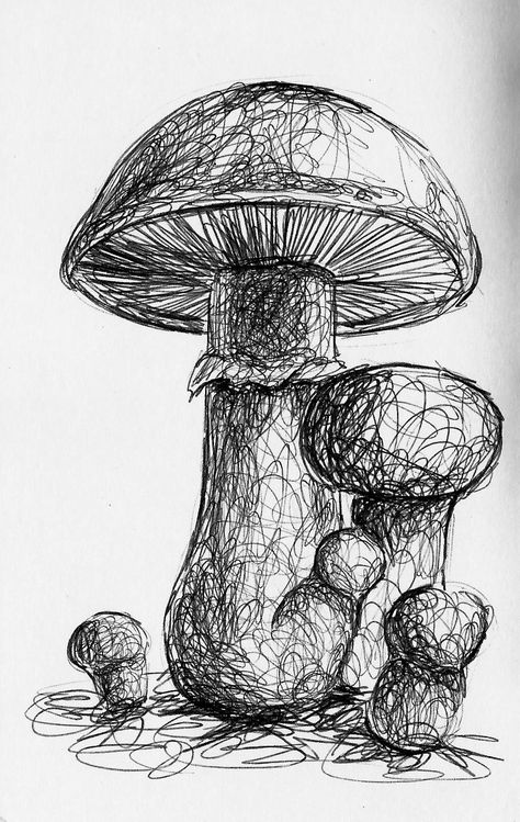 Line Shading Drawing, Sketching Mushrooms, Natural Forms Drawings, Mushroom Pen Drawing, Scumbling Art, Natural Forms Sketchbook, Pen Art Nature, Hatching Drawing Sketches, Natural Forms Art