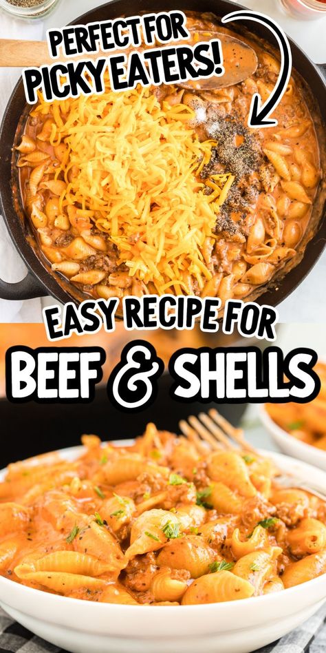 Beefy Cheesy Pasta, Cheesy Shells Ground Beef, Ground Beef And Shells Recipes, Shells Mac And Cheese Recipe, Small Shells Pasta Recipes, Mac And Cheese Shells Recipe, Creamy Beef And Shells, Beef And Shells, Casserole Beef