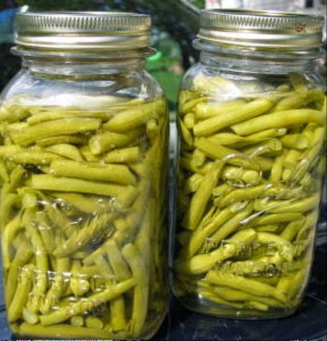 Preserving Green Beans, Canning Green Beans, Canned Green Bean Recipes, Canning Beans, Canning Water, Hot Water Bath Canning, Water Bath Canning Recipes, Pickled Green Beans, Easy Canning