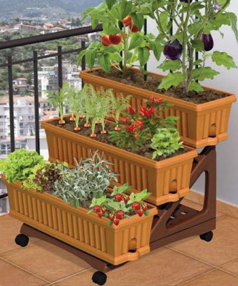 Why I'm Planting A Garden | Editor's Choice |Axisoflogic.com Apartment Herb Gardens, Apartment Patio Gardens, Balcony Herb Gardens, Small Patio Spaces, Gemüseanbau In Kübeln, Apartment Balcony Garden, Hillside Garden, Small Balcony Garden, Container Vegetables