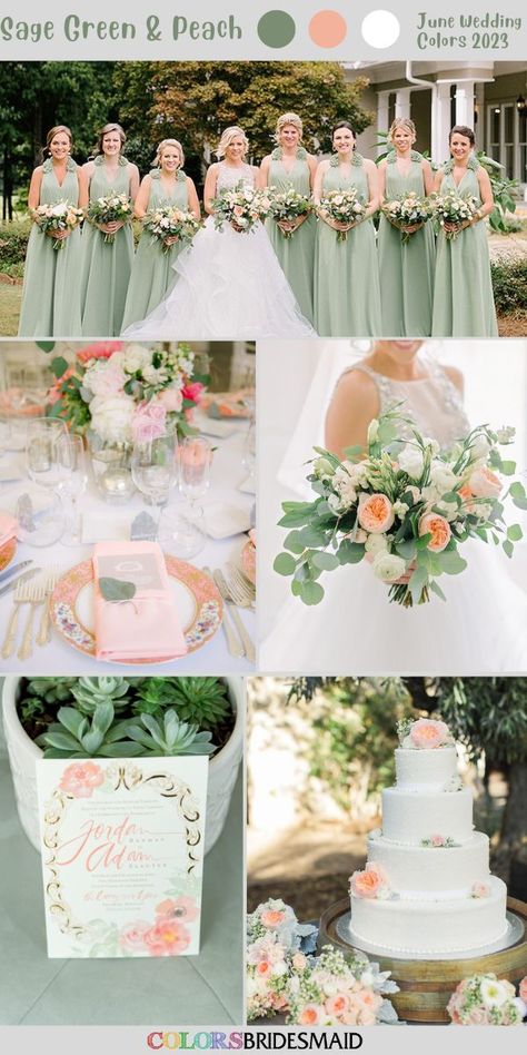 Sage Green Peach Gold Wedding, Sage Peach And Gold Wedding, Mint Color Palette Wedding, Safe And Peach Wedding, Sage Green Peach And White Wedding, Dusty Sage And Peach Wedding, Sage And Peach Wedding Centerpieces, Peach Green White Wedding Color Schemes, Peach Wedding Theme Colour Palettes