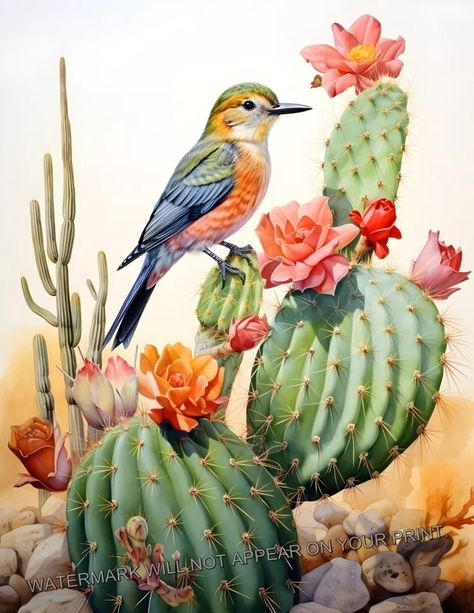 Vermilion Flycatcher Bird on Cactus Southwest Desert Giclée Art Print 8.5x11 | eBay Birds On Cactus, Watercolor Art Landscape Flowers, Desert Drawings, Desert Reference, Prickly Pear Art, Southwest Paintings, Southwest Art Paintings, Flycatcher Bird, Cacti Art