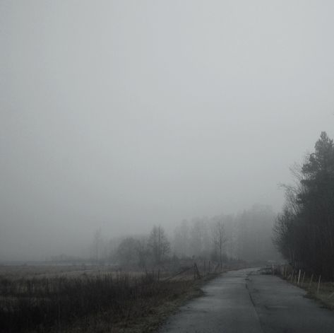 Poetic Photo, Gloomy Day, Nature Aesthetic, White Aesthetic, Pretty Places, Aesthetic Photo, Dark Aesthetic, Pretty Pictures, Mother Nature