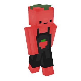 Minecraft Skindex Skins, Minecraft Funny Skins, Minecraft Skin Aesthetic, Minecraft Skins Female, Minecraft Character, Minecraft Challenges, Minecraft Skins Aesthetic, Minecraft Girl Skins, Minecraft Banner Designs