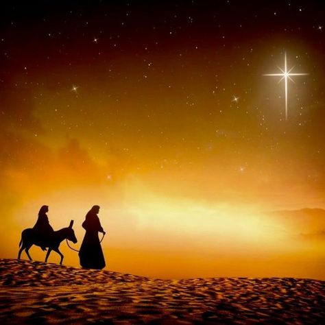 Stream Journey To Bethlehem by FSSPX-audio | Listen online for free on SoundCloud Mary And Joseph Travel To Bethlehem, The Star Of Bethlehem, Journey To Bethlehem, Nativity Scenes, Christmas Card Art, Star Of Bethlehem, Graphic Wallpaper, Backdrops Backgrounds, Bethlehem