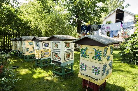 Painted Bee Hives, Female Street Artist, Bee Hives Boxes, Backyard Beekeeping, Polish Folk Art, Bee Boxes, House Organisation, Bee Farm, Polish Women