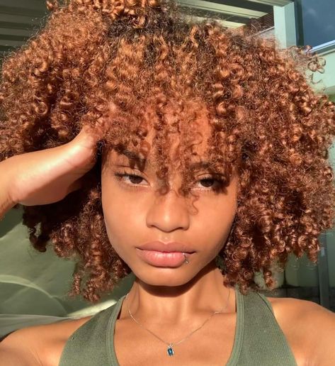 Coily Hair Color Ideas, Hair Color Dark Skin, Ginger Curls, Afro Hair Color, Auburn Red Hair, Pelo Cafe, Dyed Curly Hair, Highlights Curly Hair, Brown Curls