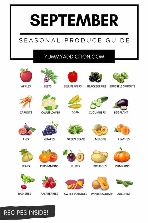 Squash Zucchini Recipes, Seasonal Produce Guide, Persimmon Recipes, Fig Recipes, Seasonal Produce, Fall Vegetables, Sprout Recipes, Eat Seasonal, Fall Fruits