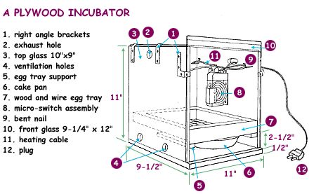 woodeninc.gif (440×277) Incubating Chicken Eggs, Homemade Incubator, Diy Incubator, Simple Electronic Circuits, Urban Chicken Farming, Chicken Incubator, Poultry Feeders, How To Make Eggs, Hatching Chicks