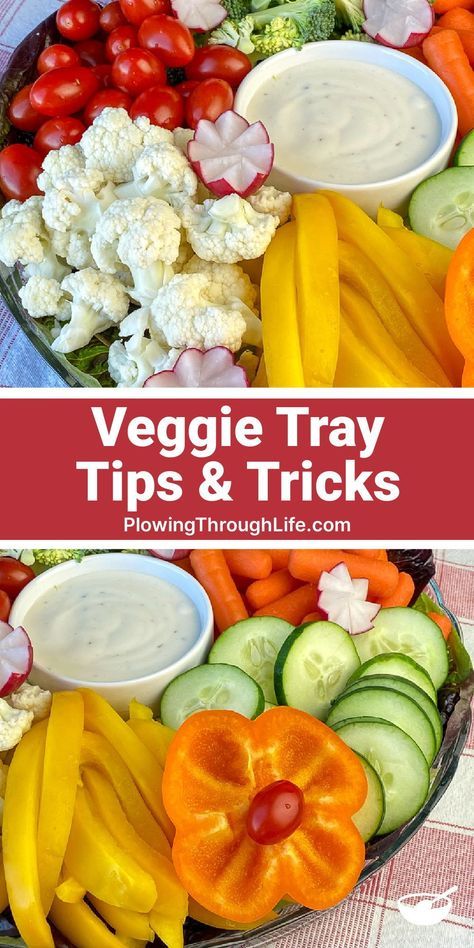 Having a Veggie Tray at any big event like family parties, graduation parties, anniversary parties, baby showers, weddings, and tailgates is very popular! Here are tips on how to make a veggie tray or platter that is simple. Also find ideas on how to cut and arrange vegetables and dip. Veggie Tray For Large Crowd, Veg And Dip Platter, Arranging Vegetable Trays, Easy Veggie Platter, Food Arrangement Ideas Simple, Veggie Party Trays, Simple Crudite Platter, Veggie Plate Ideas, Veggie Platters Ideas Trays